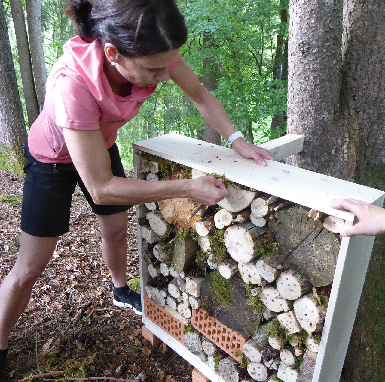 Projekt Wildbienenhotel Allgäu Wildbienenhotel bauen