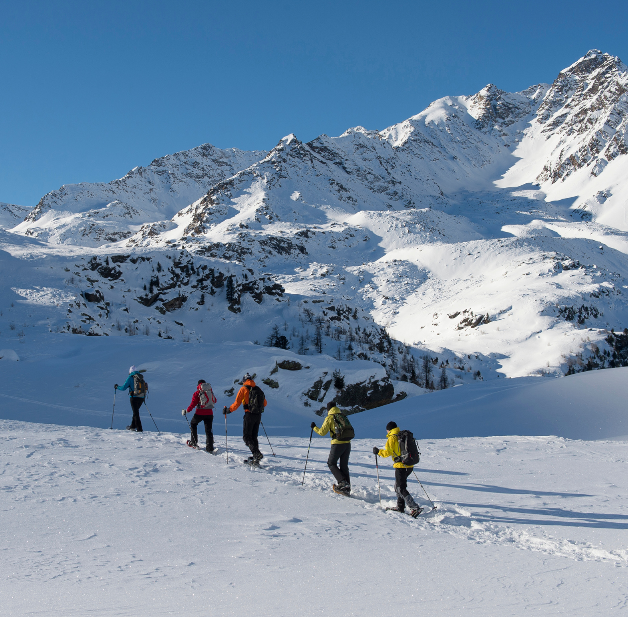 Schneeschuhwandern