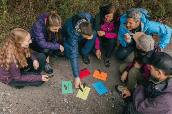 interaktive Teamübung outdoor